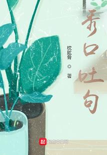 辉耀之破踏辉宗