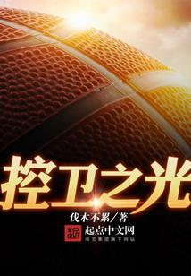 自驾大明，创到朱重八