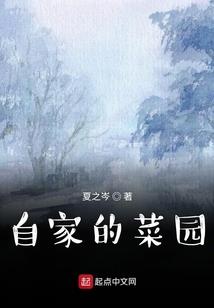 画世