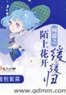 网游之幻想人生