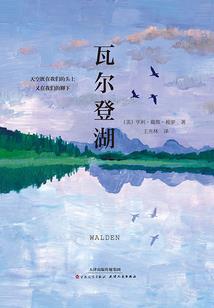 灰色诈欺师