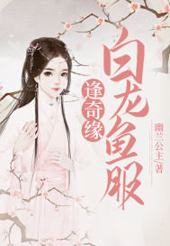 揽月之界