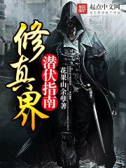 大明：苟在皮岛当老六