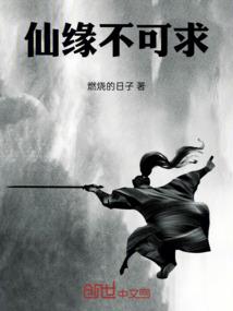 神奇宝贝之夜舞天