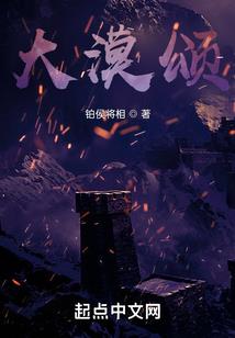 特工盗妃