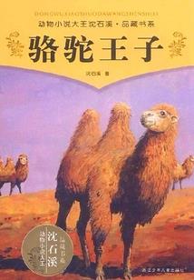 三年短跑，千年之虹！