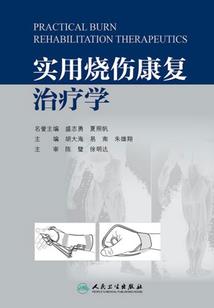 天龙，九部