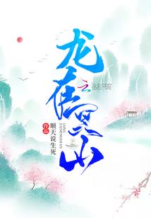 凤启录