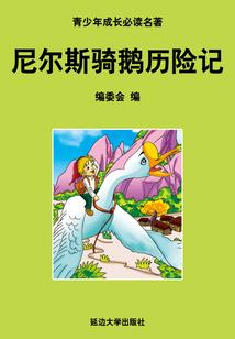 雪漫倾城，一缕红纱，一丝殇