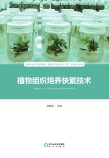 走不出的轮回
