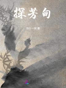 超时空盗贼