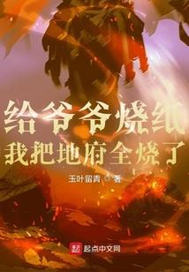 梦之叶云生存录