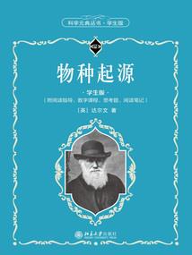 黯世黑旗