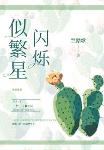 腹黑男神的秘密情人