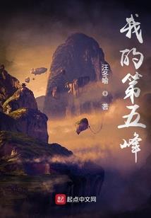 追夫小娘子