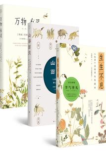 星际大时代