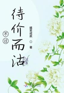 快穿攻略：军师大人教化史