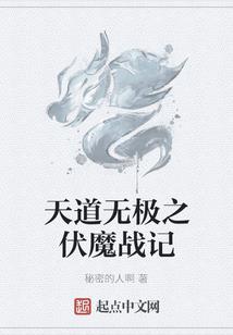 星空侠盗