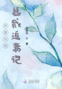 冷面总裁抢我的儿子