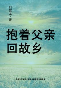 乱世傲女