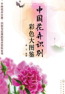 魔神的儿子