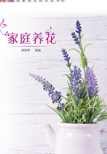 末日之智慧生存