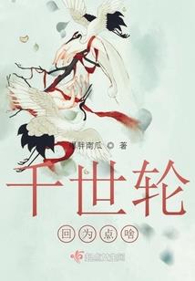 宠物小精灵之天空之星