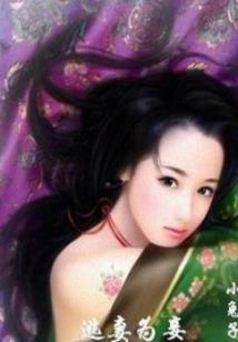 秩序之异能崛起