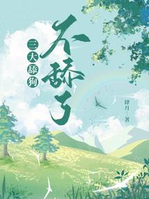 公主传：神迹之伟