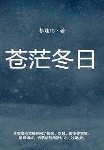 校花总裁的冷俊王子