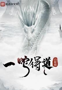 科技黑洞