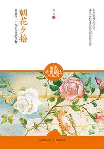 创世的黎明