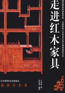 辛夏王传