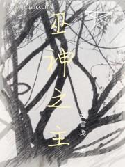 时代开端