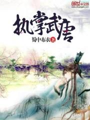 数码之混沌之主