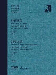 魔法老师巅峰旅途