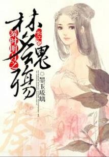 你的地盘我做主：叛逆皇后