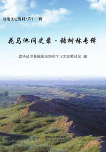魔道追凌