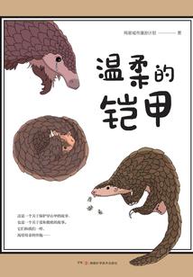 盗得镜