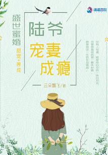 梦吾地带