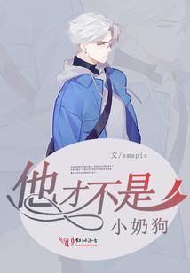 综武：成长系天道