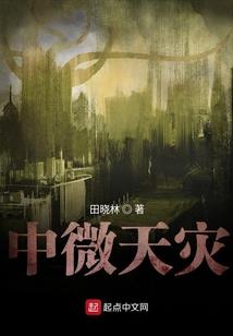 写给我的小猫