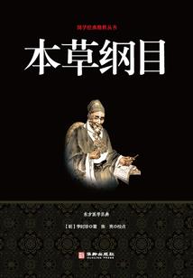 超魔导双子