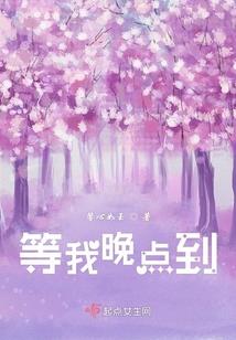 黑夜之倾城暖阳