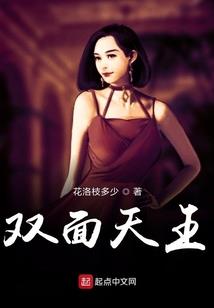 宠物小精灵之幽暗天王