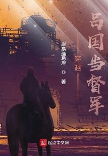 雪地萌宠折耳猫