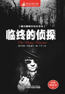 登顶武途