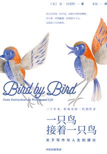 我来过这个世界