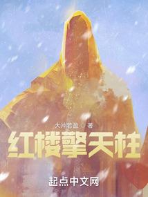 绝色丑颜敛夫记