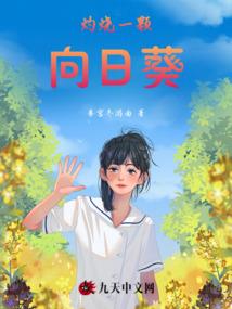 贵族神偷：殿下你又去浪了